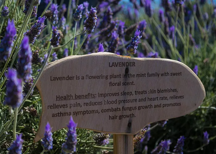 Argo Village شقة فندقية ثيرا